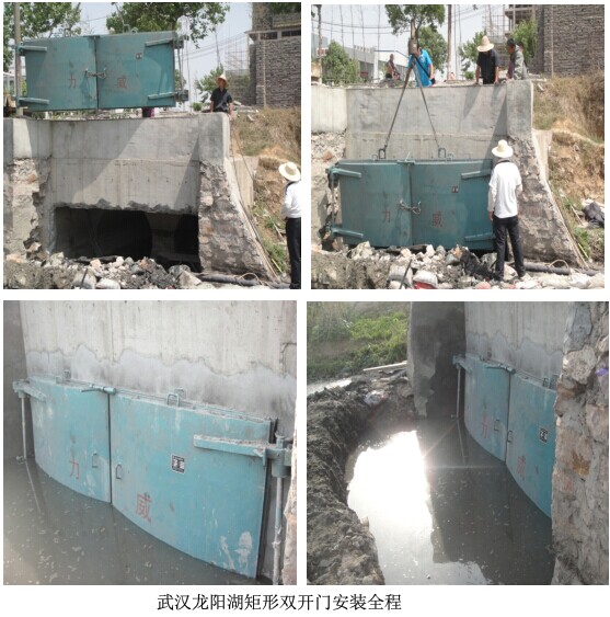 武漢龍陽湖矩形雙開門安裝全程