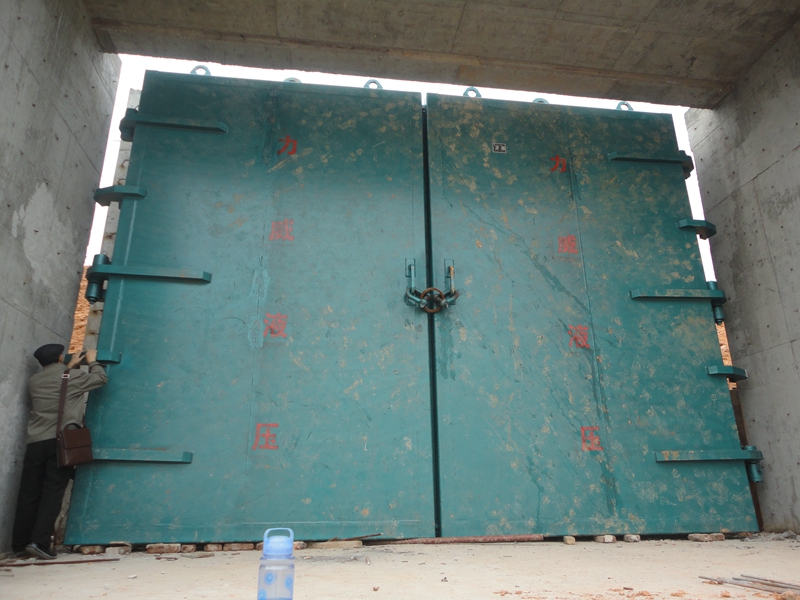 6米x4米最大拍門